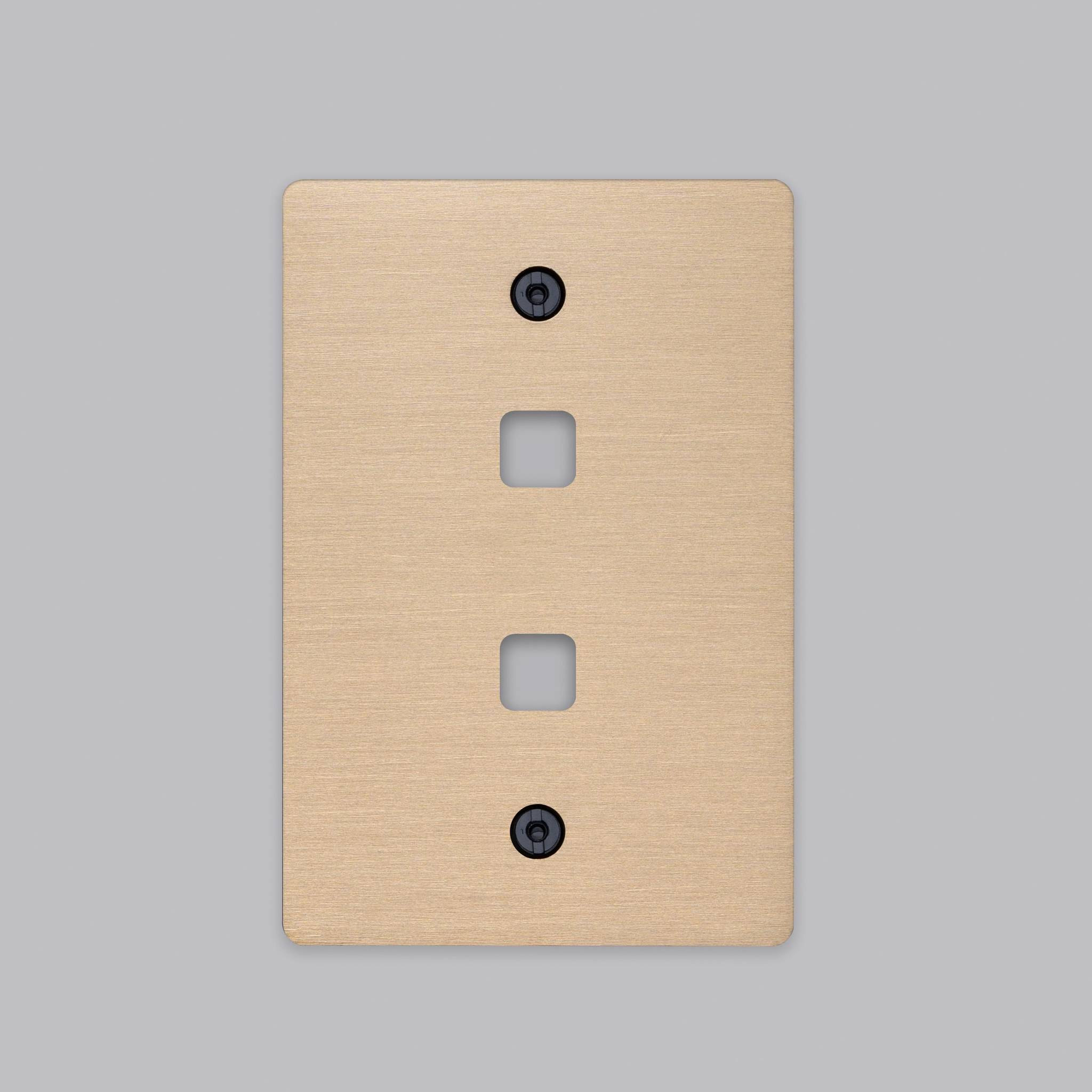 2G WALL PLATE / DIMMERS OR TOGGLES