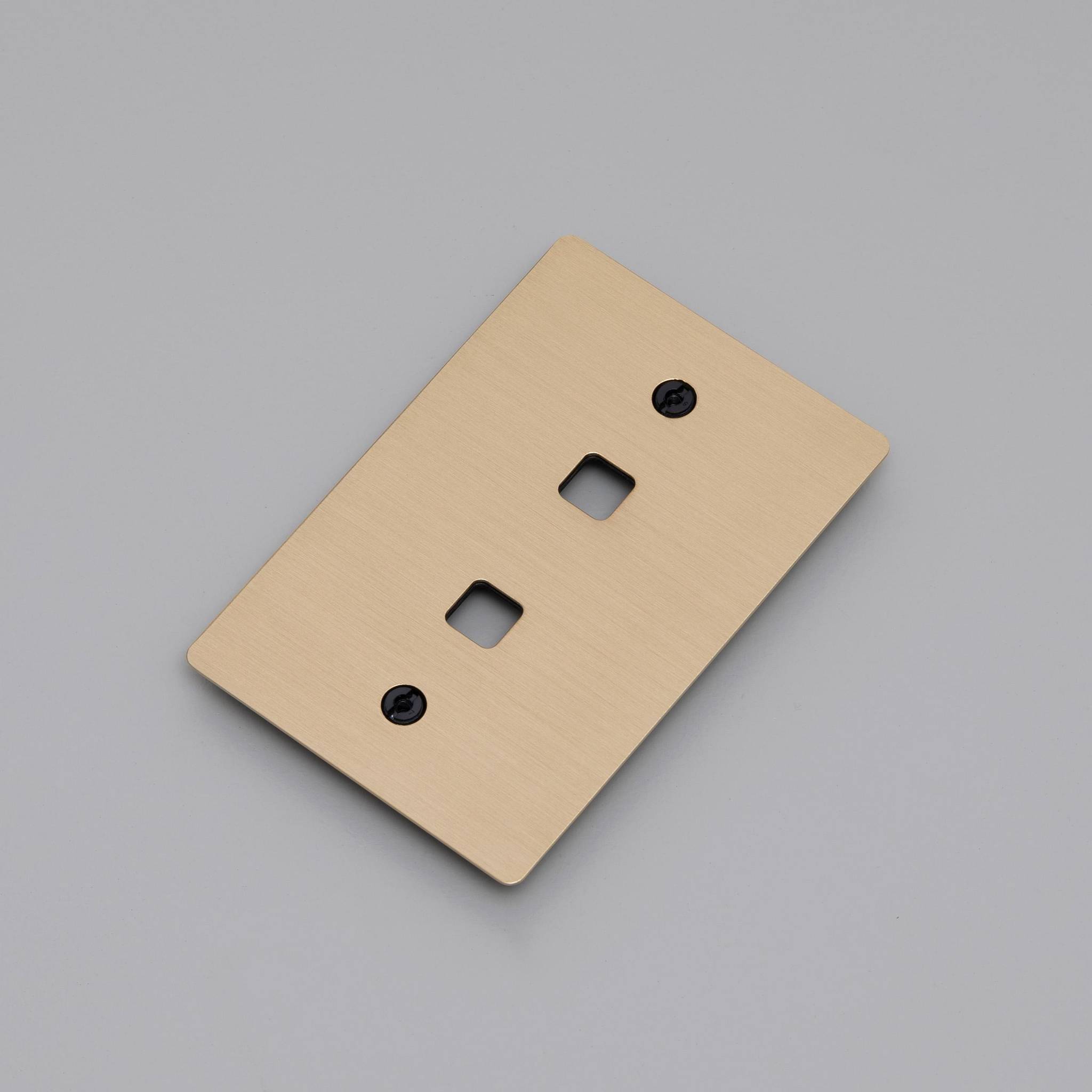 2G WALL PLATE / DIMMERS OR TOGGLES