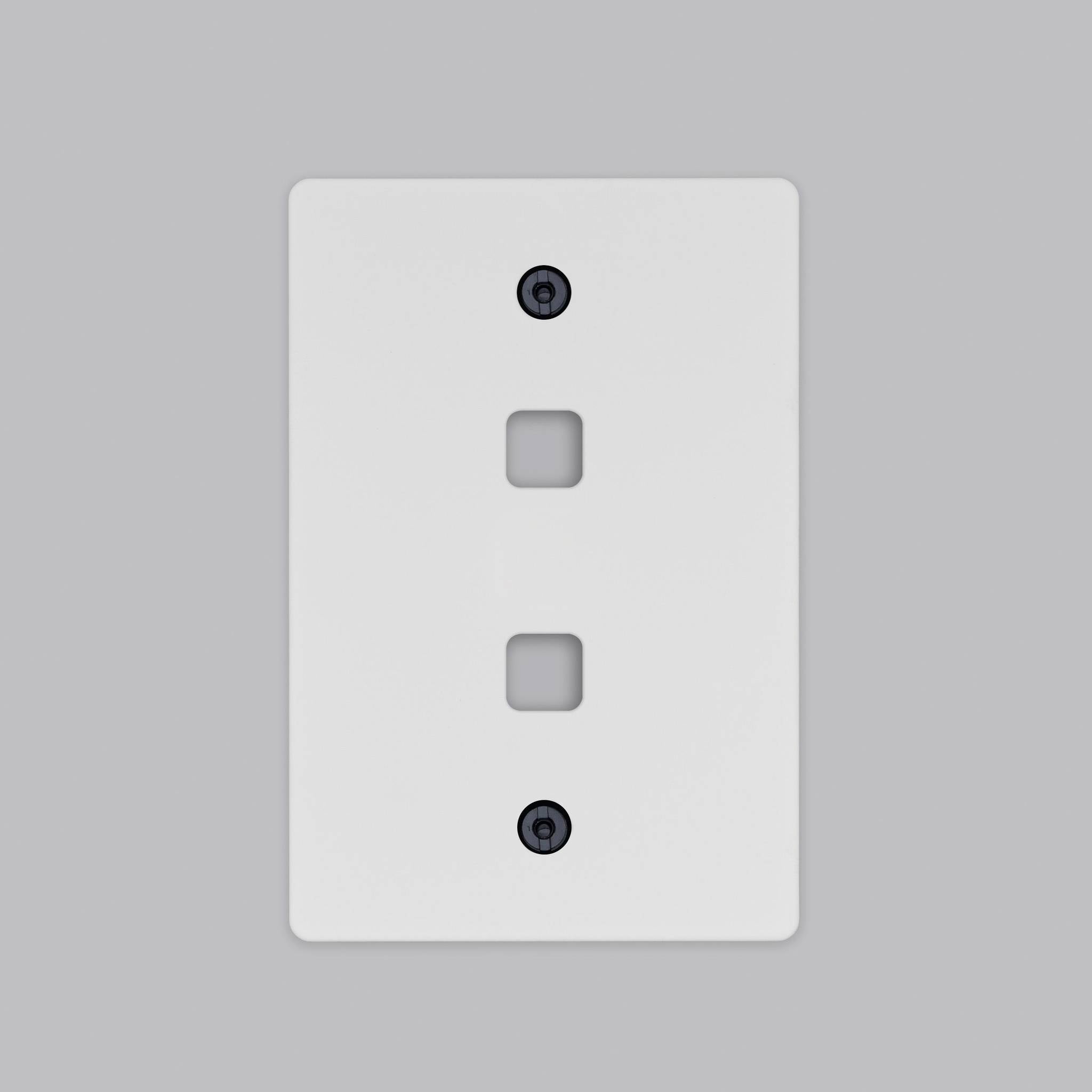 2G WALL PLATE / DIMMERS OR TOGGLES