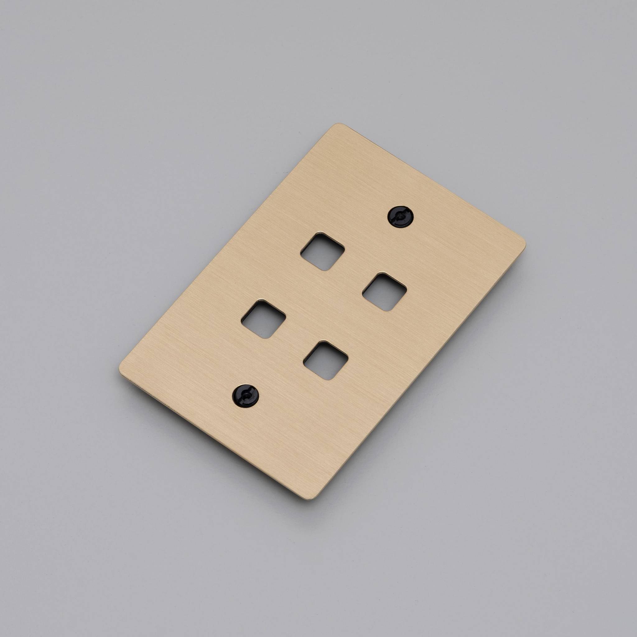 4G WALL PLATE / TOGGLES ONLY
