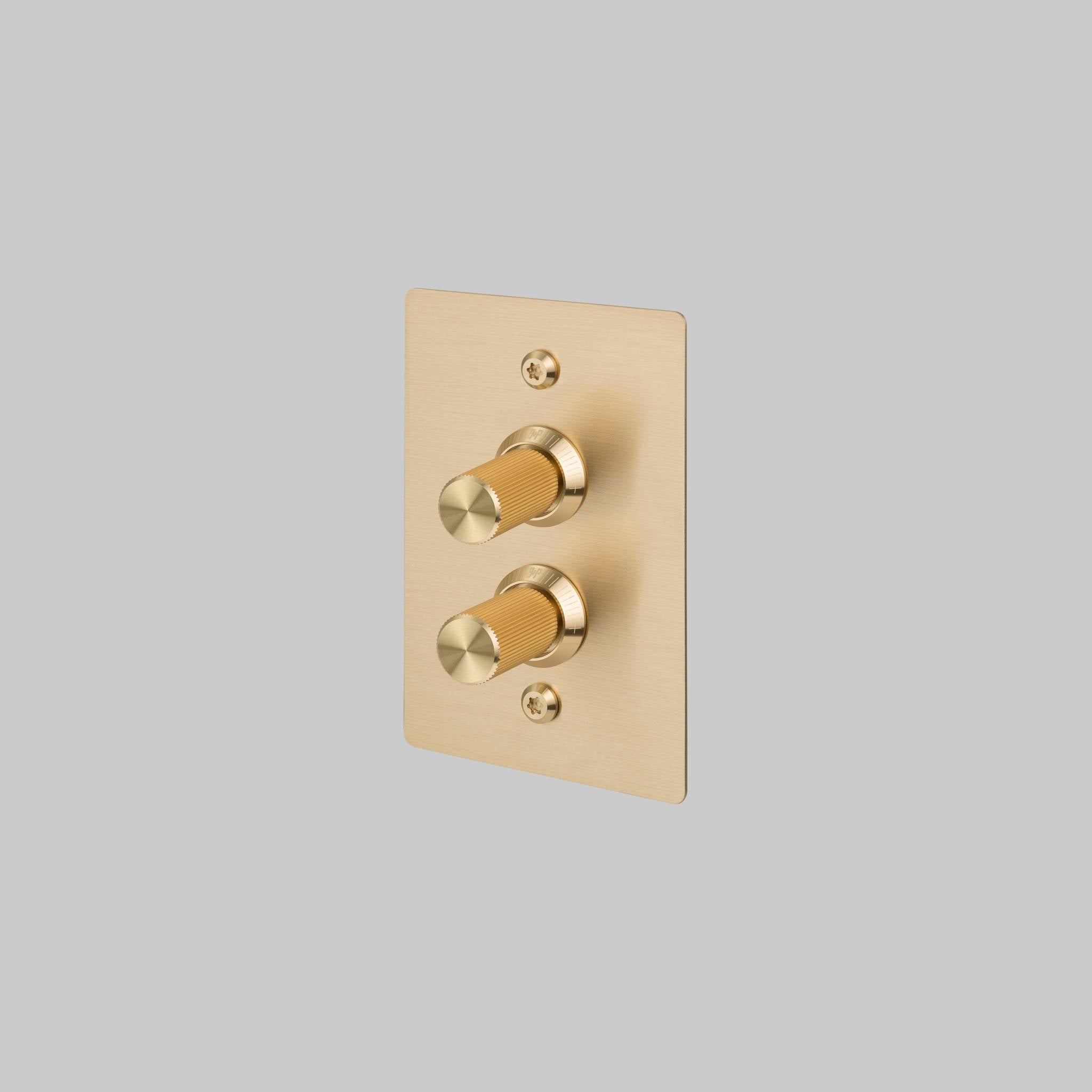 2G DIMMER / VERTICAL / 100W / LINEAR