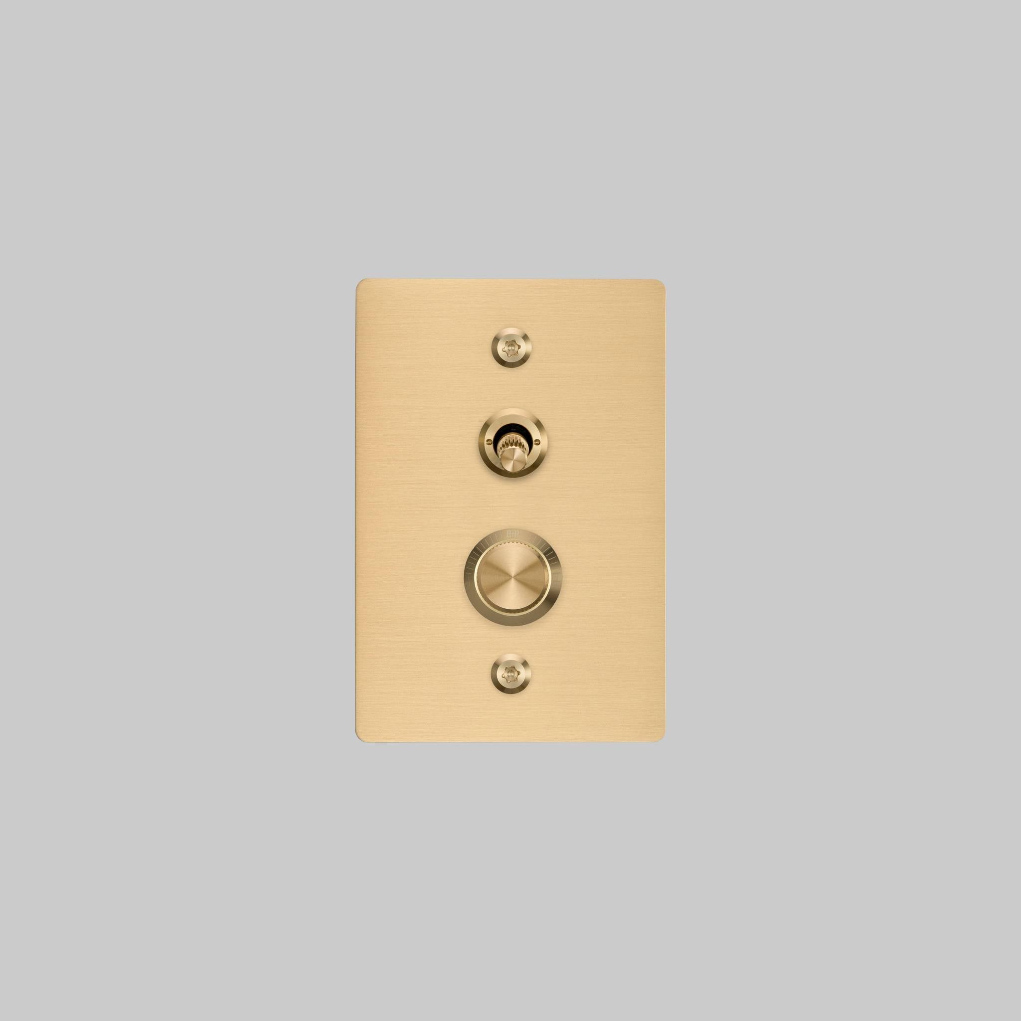 2G TOGGLE + DIMMER / VERTICAL / LINEAR