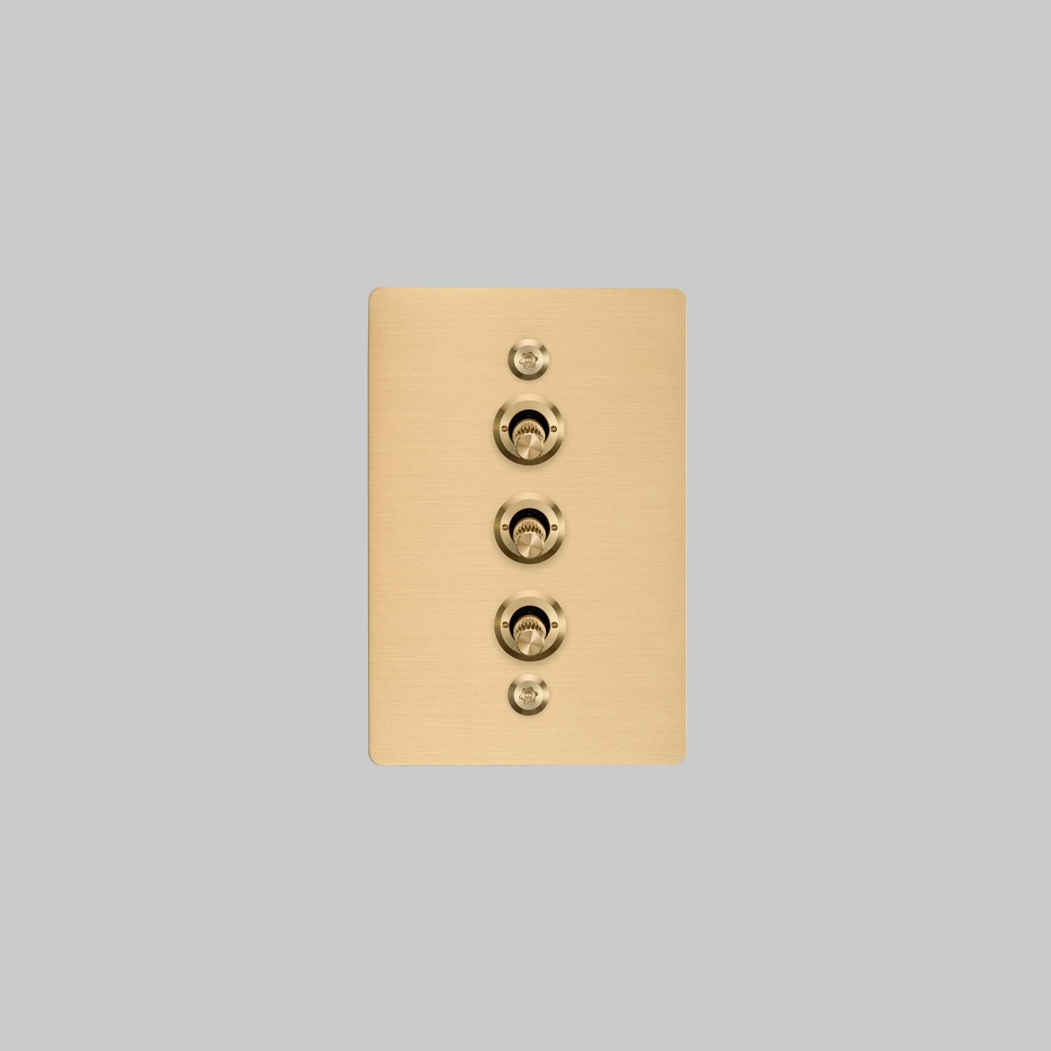 3G TOGGLE / VERTICAL / 2-WAY / LINEAR