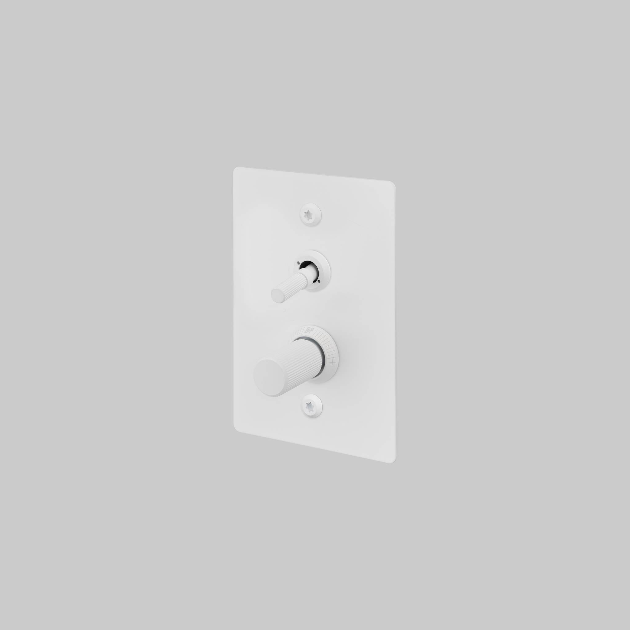 2G TOGGLE + DIMMER / VERTICAL / LINEAR