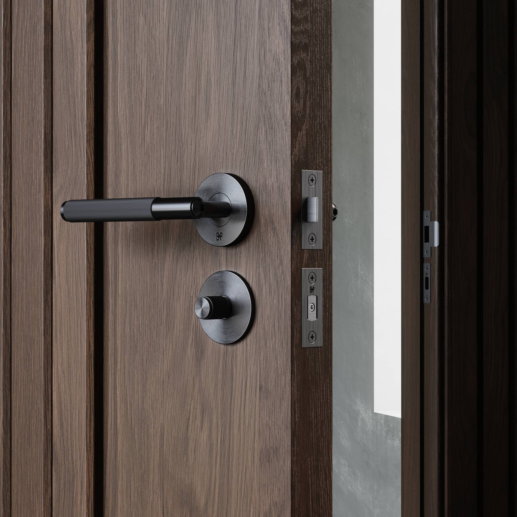 ANZ DOOR HANDLE SET / LINEAR / SPRUNG / PRIVACY