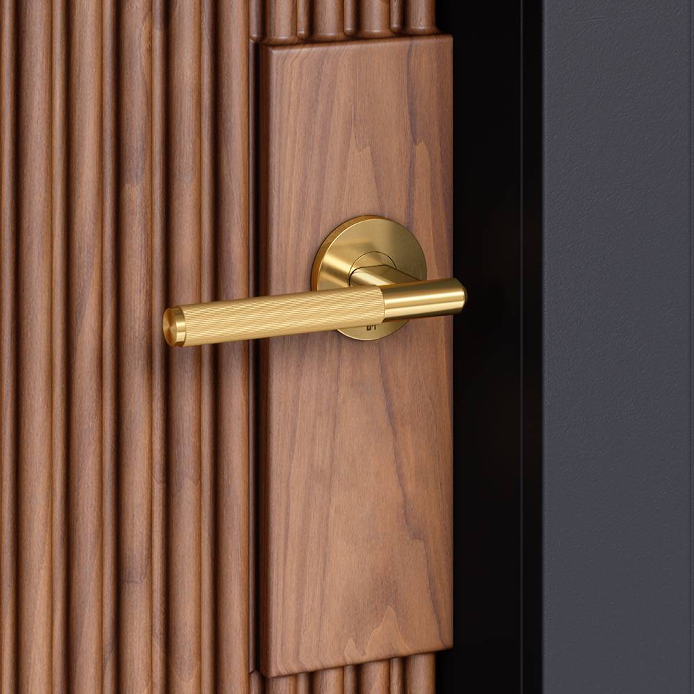 ANZ DOOR HANDLE SET / LINEAR / SPRUNG / PRIVACY