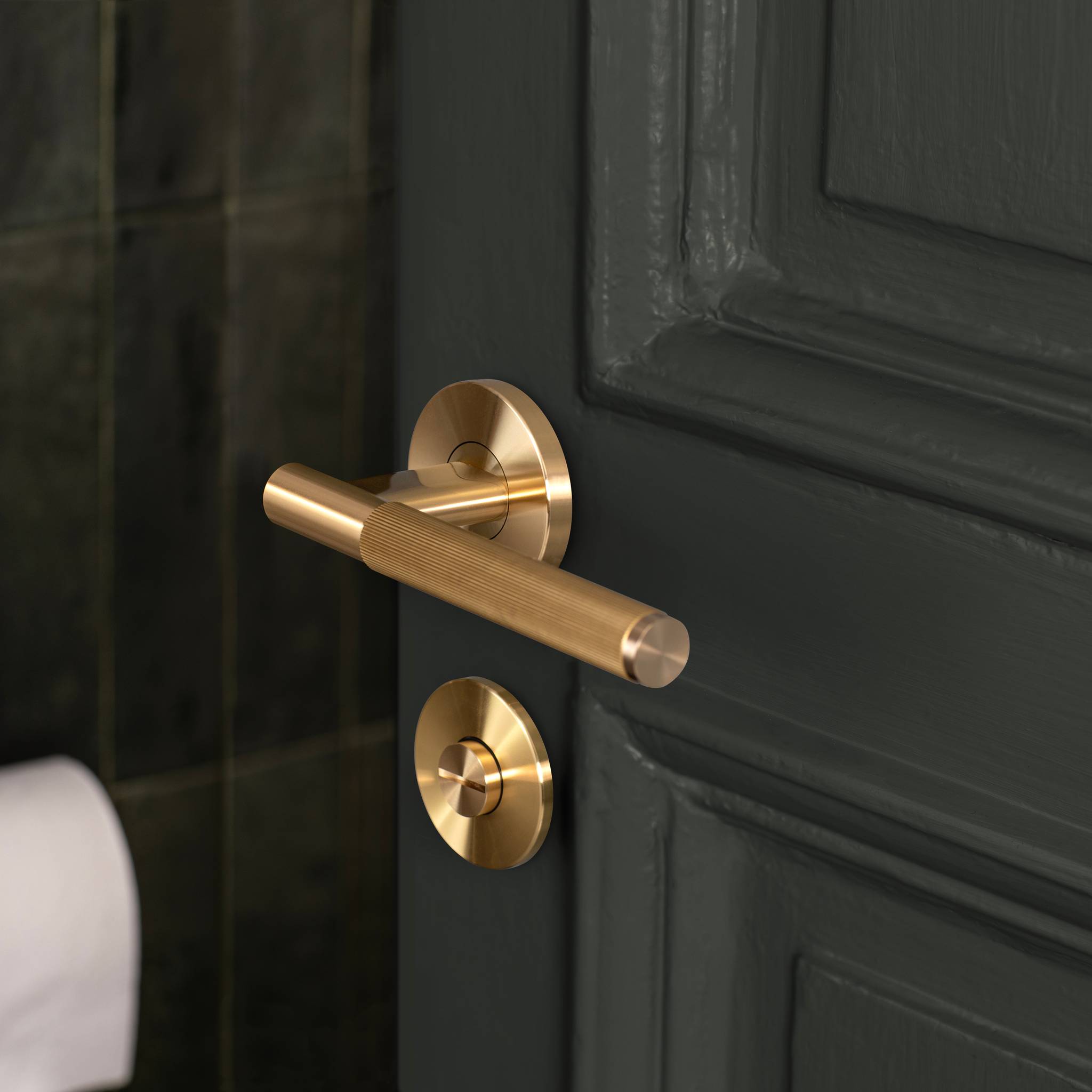 ANZ DOOR HANDLE SET / LINEAR / SPRUNG / PRIVACY