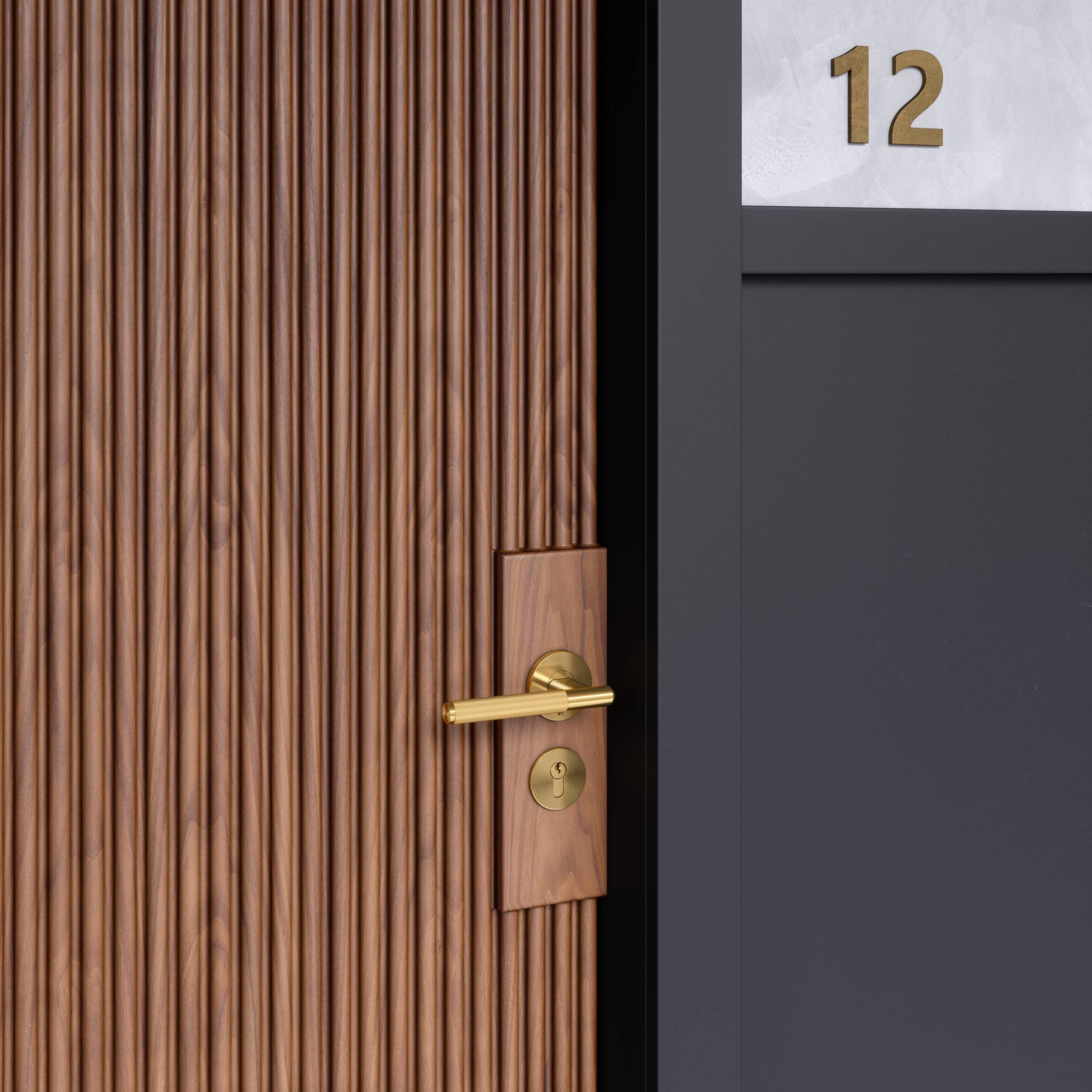 ANZ DOOR HANDLE SET / LINEAR / SPRUNG / PRIVACY