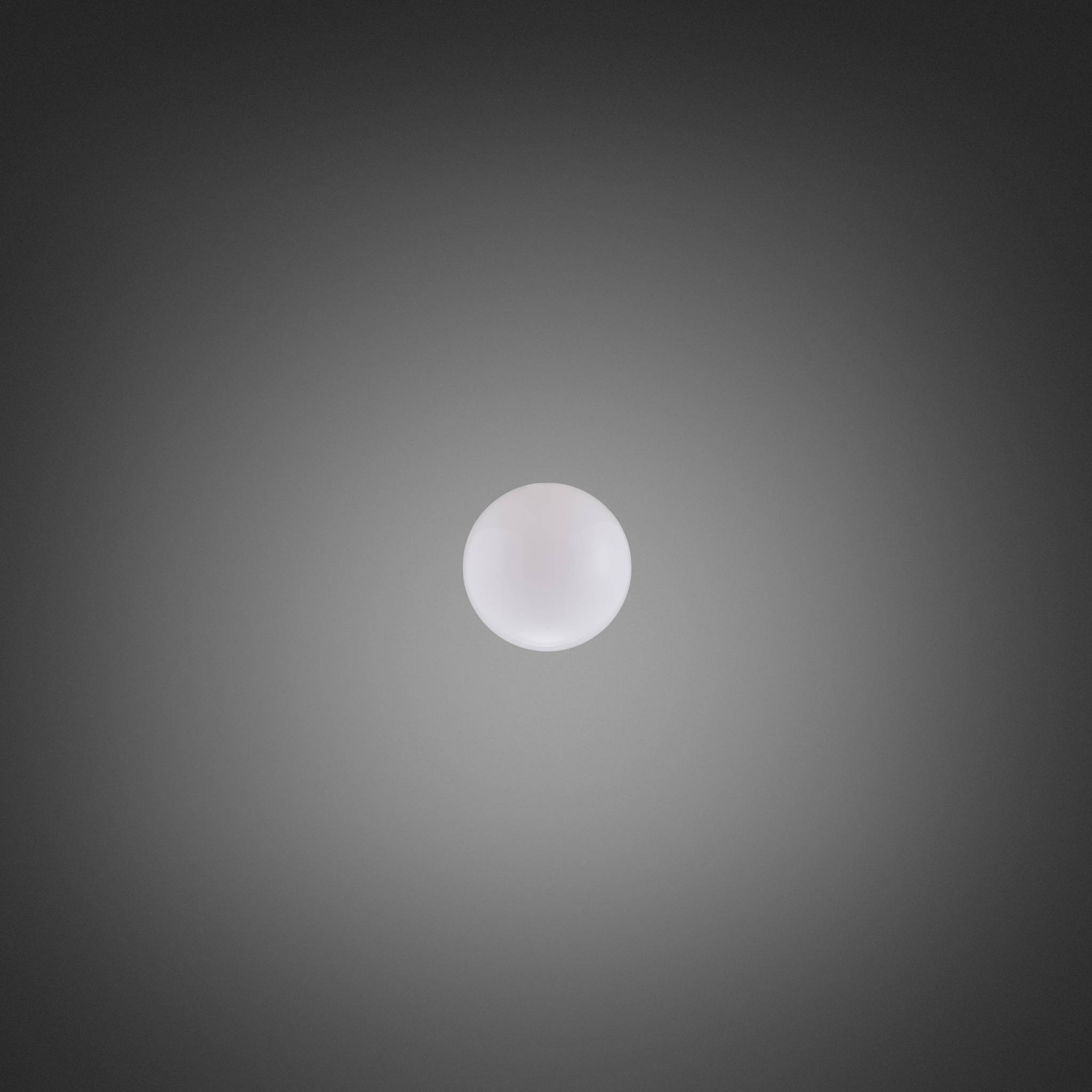 FORKED GLOBE / MEDIUM