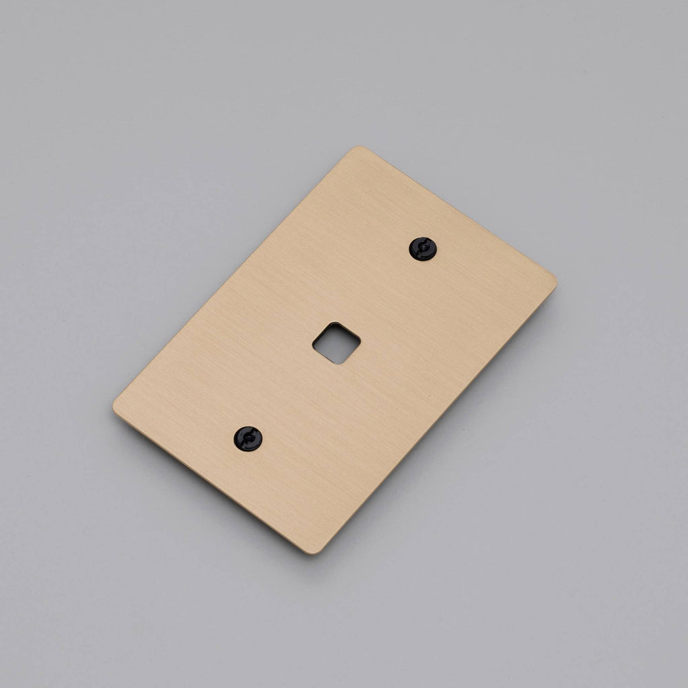 BRASS