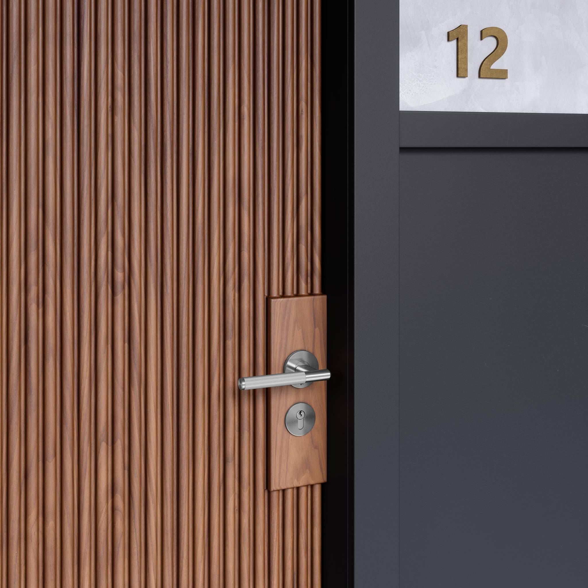 ANZ DOOR HANDLE SET / LINEAR / SPRUNG / PRIVACY