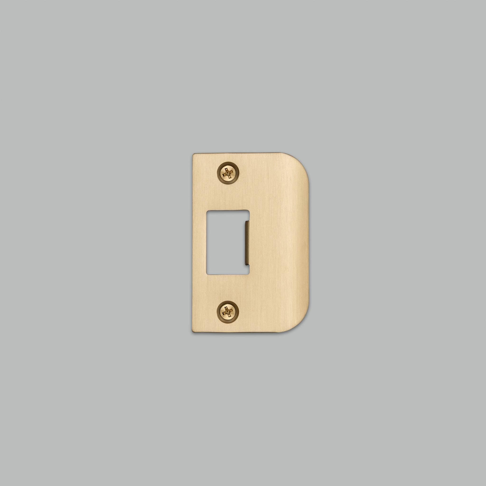 STRIKE PLATE KIT / D SHAPED / STANDARD DOOR
